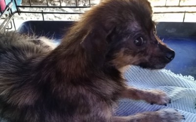 Ina: il prima e il dopo