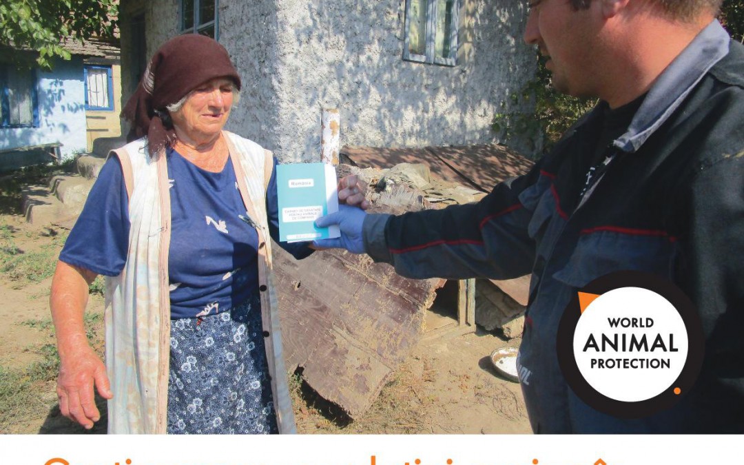 Un case study sul progetto di Save the Dogs a Cernavoda