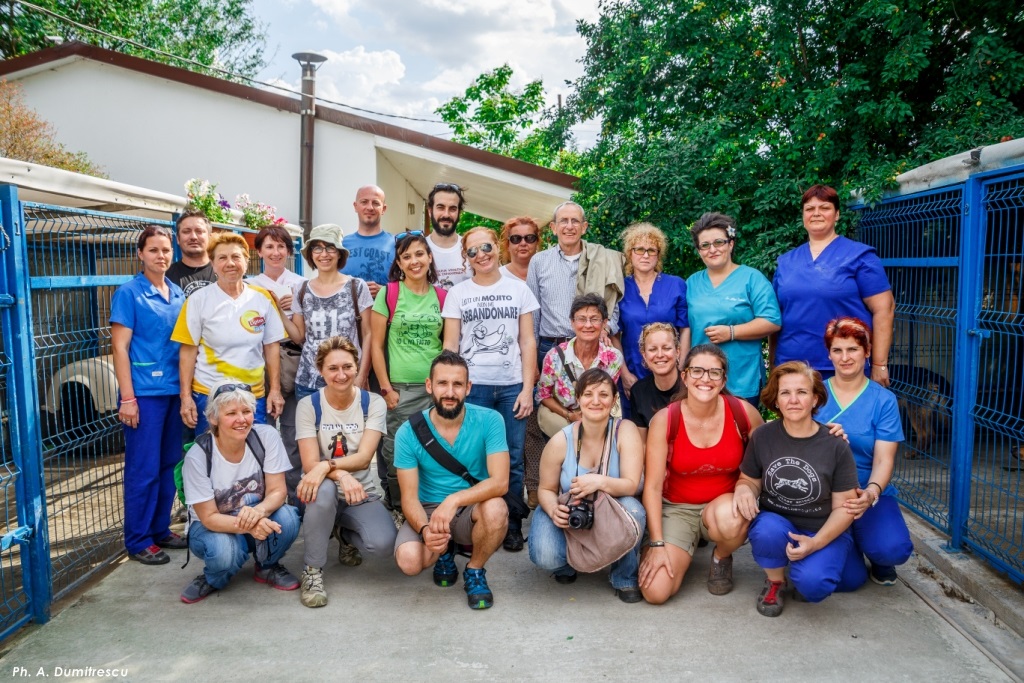 Impronte di gioia 2016: tre giorni con Save the Dogs!