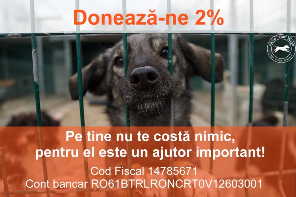Doneaza-ne 2% catre Save the Dogs