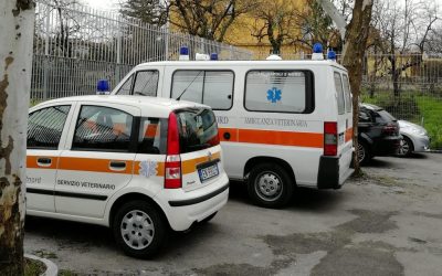 28 settembre, giornata del microchip a Licola Mare (NA)