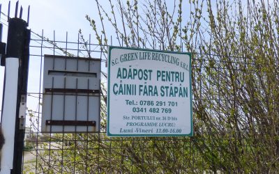 Il canile degli orrori di Ovidiu ha finalmente interrotto le attività