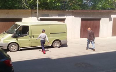 Riprese le catture dei randagi a Cernavoda