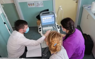 Una donazione speciale a Save the Dogs