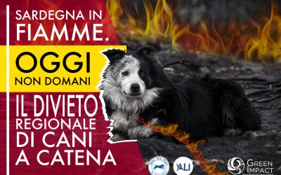 Sardegna in fiamme, leggi il comunicato stampa