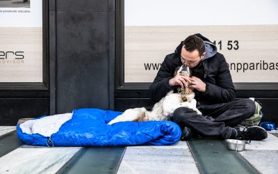 Amici di strada, monitoraggio e assistenza per gli animali di chi vive per strada a Milano
