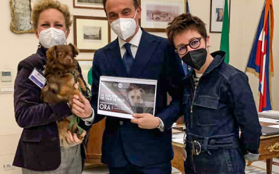Cani a catena in Piemonte, le associazioni consegnano 5.000 firme al Presidente Alberto Cirio