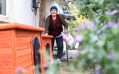 Romania – L’aiuto per i cani dei villaggi poveri continua