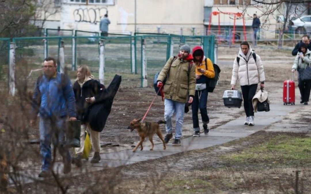 Guerra in Ucraina – L’inverno senza cibo e riparo degli animali