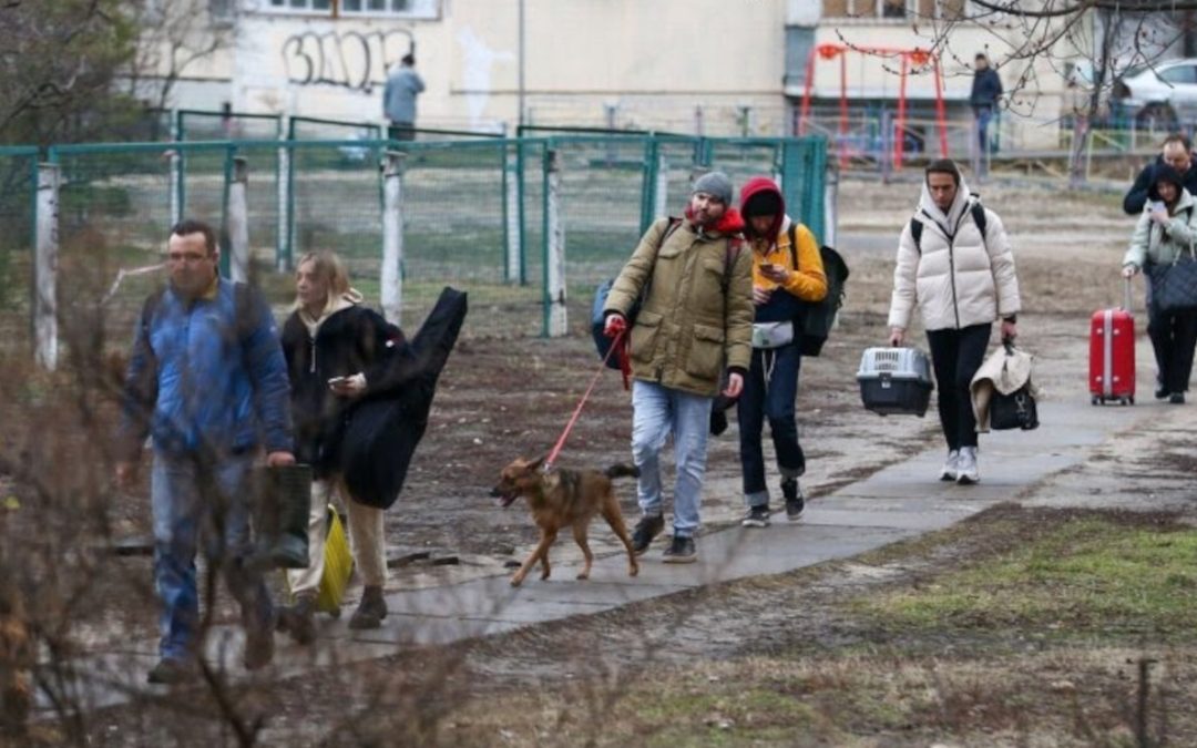 The war in Ukraine – A winter without food and shelter for animals