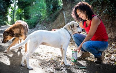 Un cane libero è sempre da salvare?