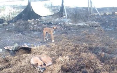 Ucraina – Un aiuto oltre alla guerra
