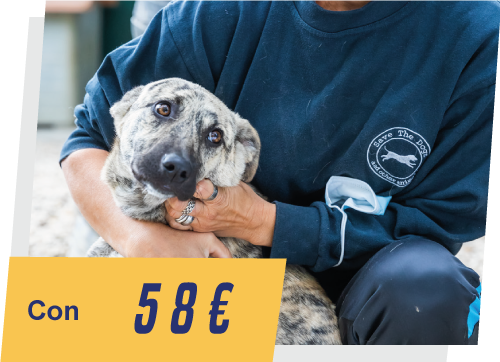 ask3_58