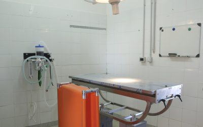 TOO MANY PUPPIES – Brand new equipment for the Castelvolturno outpatient clinic