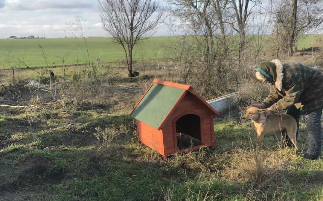 Ajutor pentru iarnă în Ucraina