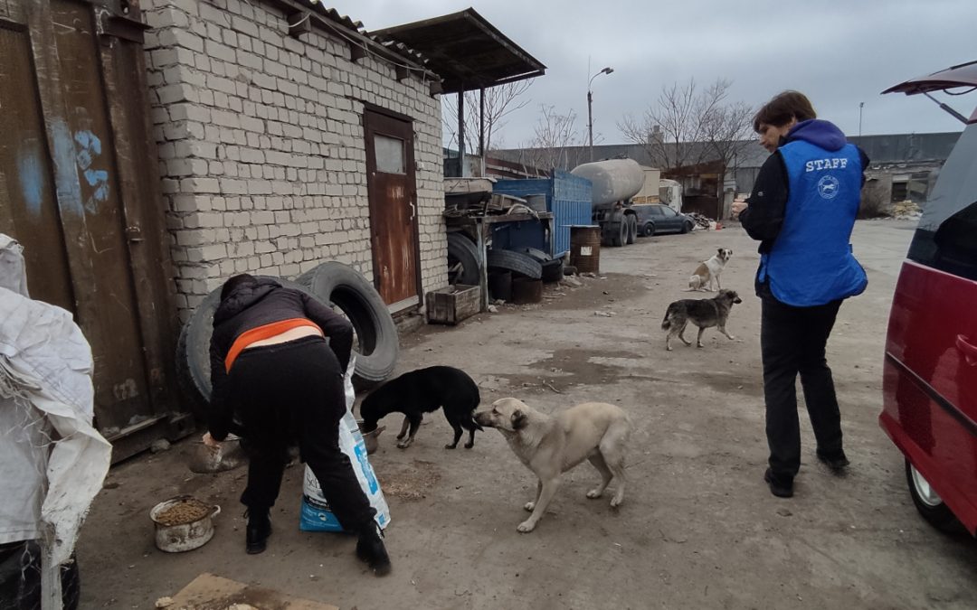 La prima missione di Save the Dogs in Ucraina