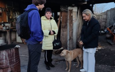 A new lease of life for dogs rescued from the war in Ukraine