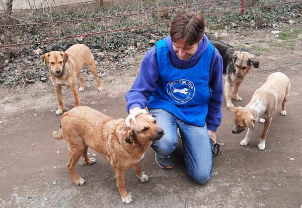 Sterilizing the animals is crucial if we are to prevent an explosion of puppies being born in Ukraine