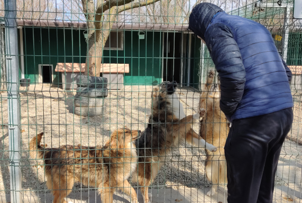 Vite connesse: le prime visite di bambini e detenuti al nostro rifugio