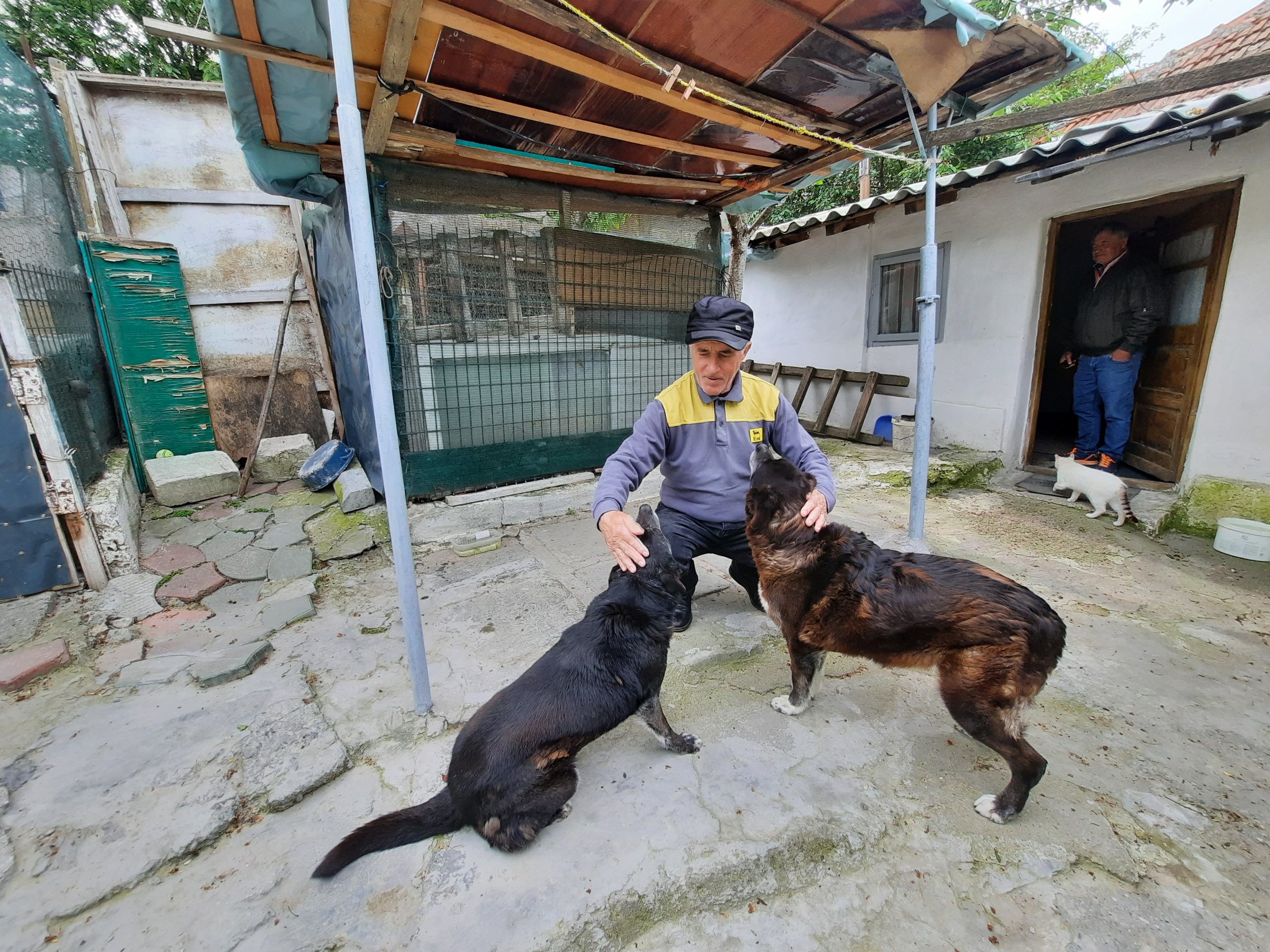 Abbiamo vaccinato i cani di questa coppia di anziani contro il cimurro