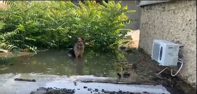 Ucraina, esplosa la diga di Kherson. In corso le operazioni per soccorrere persone e animali