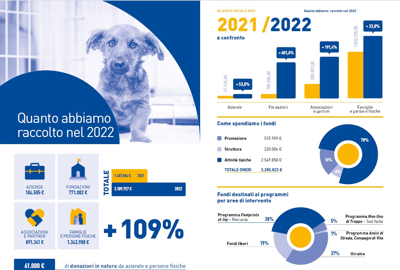 Bilancio 2022 Save the Dogs quanto abbiamo raccolto
