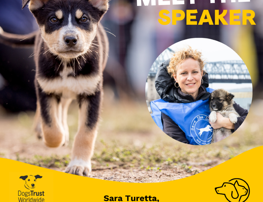 Do you work or volunteer with animals? Join us at the 23rd edition of the ICAWC conference!