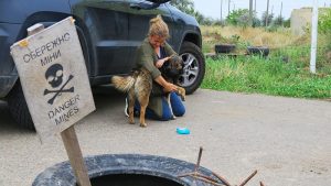 We have sterilized more than 800 animals in Ukraine