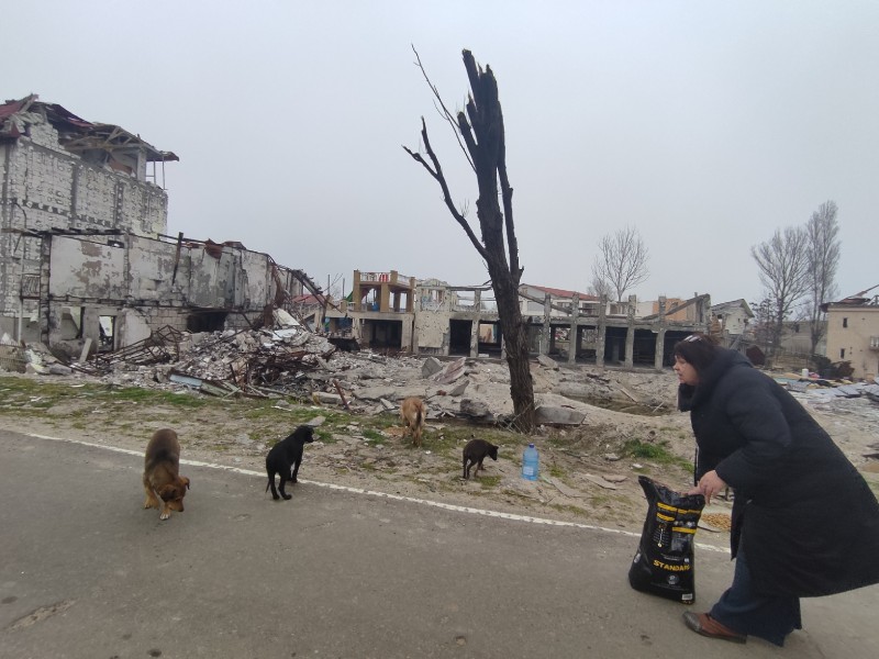 Distribuzione cibo cani in Ucraina