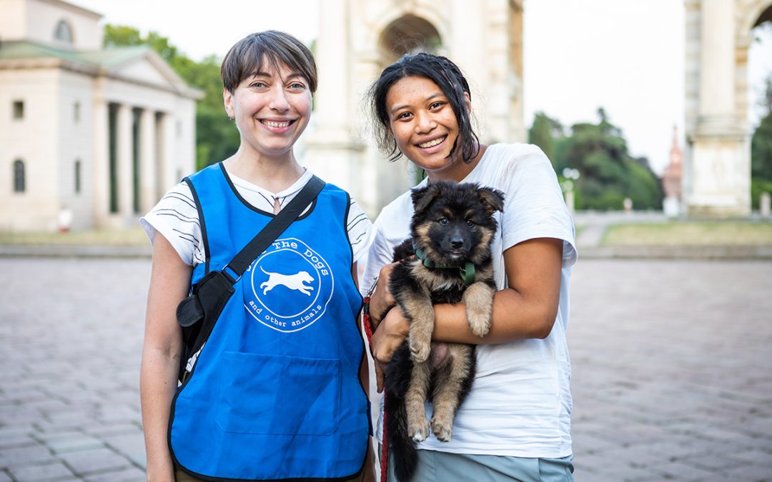 Working alongside pets belonging to the homeless of Milan for the last two years