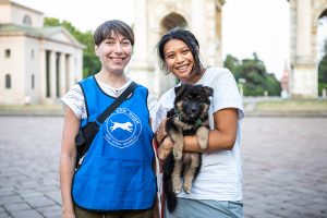 The Save the Dogs’ Street Unit 