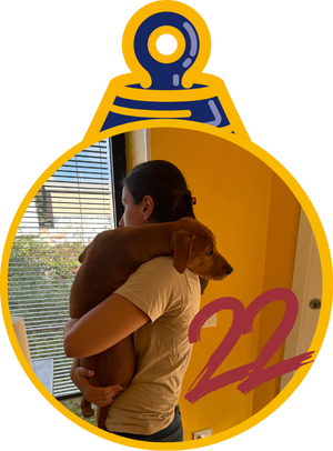 Cannella Pallina di Natale 2023 Save the Dogs