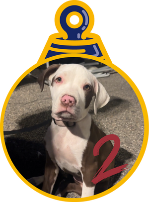 Era Pallina di Natale 2023 Save the Dogs