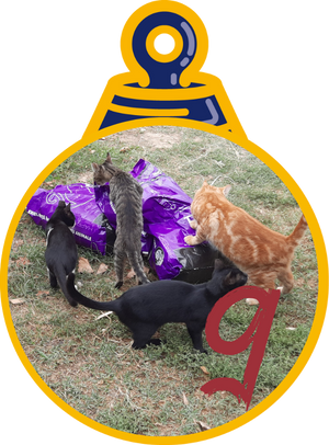Filomitia Pallina di Natale 2023 Save the Dogs