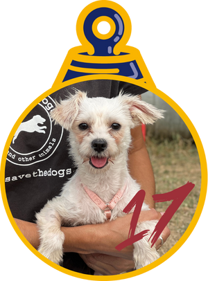 Gilda Pallina di Natale 2023 Save the Dogs