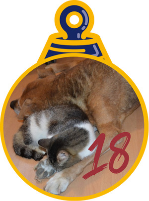 Graziela Pallina di Natale 2023 Save the Dogs