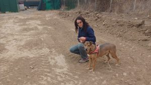 Morgan doesn't know it yet, but what he is looking at is the area on which Family Footprints, the new area of our shelter in Romania dedicated to preparing dogs for adoption, will be built