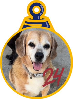 Lunetta Pallina di Natale 2023 Save the Dogs