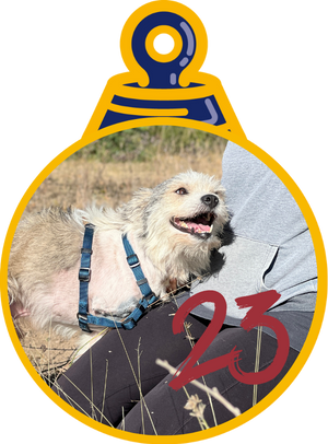 Martino Pallina di Natale 2023 Save the Dogs