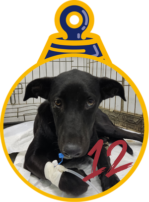 Mouse Pallina di Natale 2023 Save the Dogs