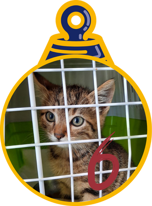 Nino Pallina di Natale 2023 Save the Dogs