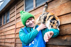 Kneading is a sign of comfort and well-being in adult cats, almost always associated with positive experiences