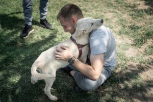Save the Dogs’ brand-new “Connecting Lives” merchandise