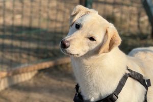 Story of Naomi and Giusy