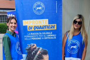 VESAK 2025 – The Italian Buddhist Union event as seen through the eyes of a volunteer