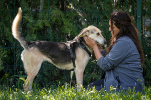 A groundbreaking turning point for animal protection in Europe!