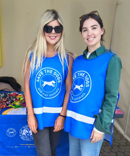 Volontarie Save the Dogs