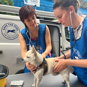 Arcaplater-Friends-SaveTheDogs-01