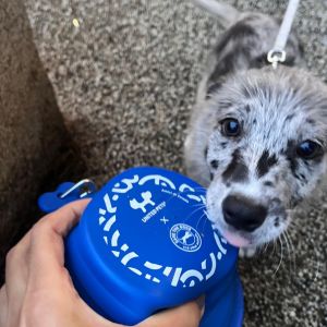 Arcaplanet-ADS-Milano-L25