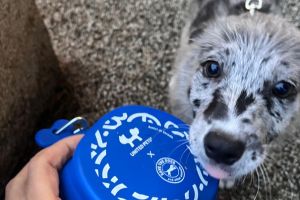 Arcaplanet in the streets with Friends on the Street for a more supportive Milan